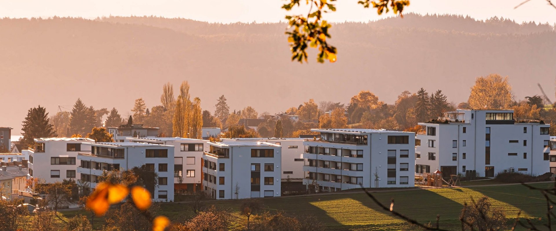 Neubau-Wohnquartier in herbstlicher Stimmung