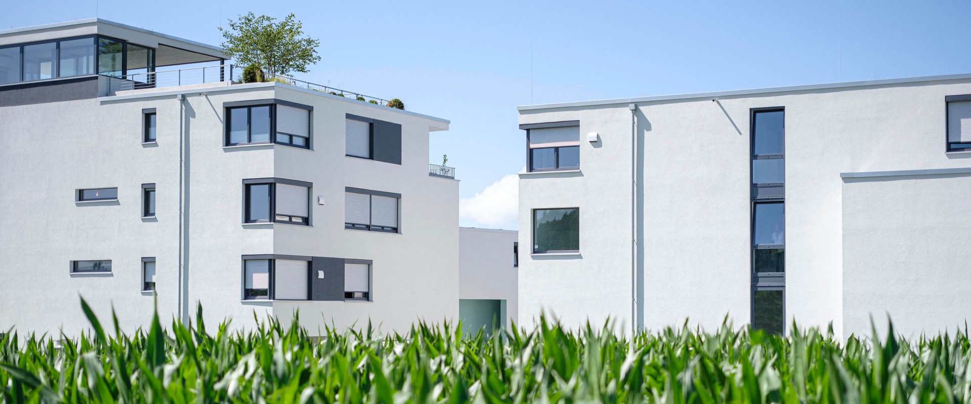 QNG-fit: klimafreundlich bauen mit puren Dämmstoffen