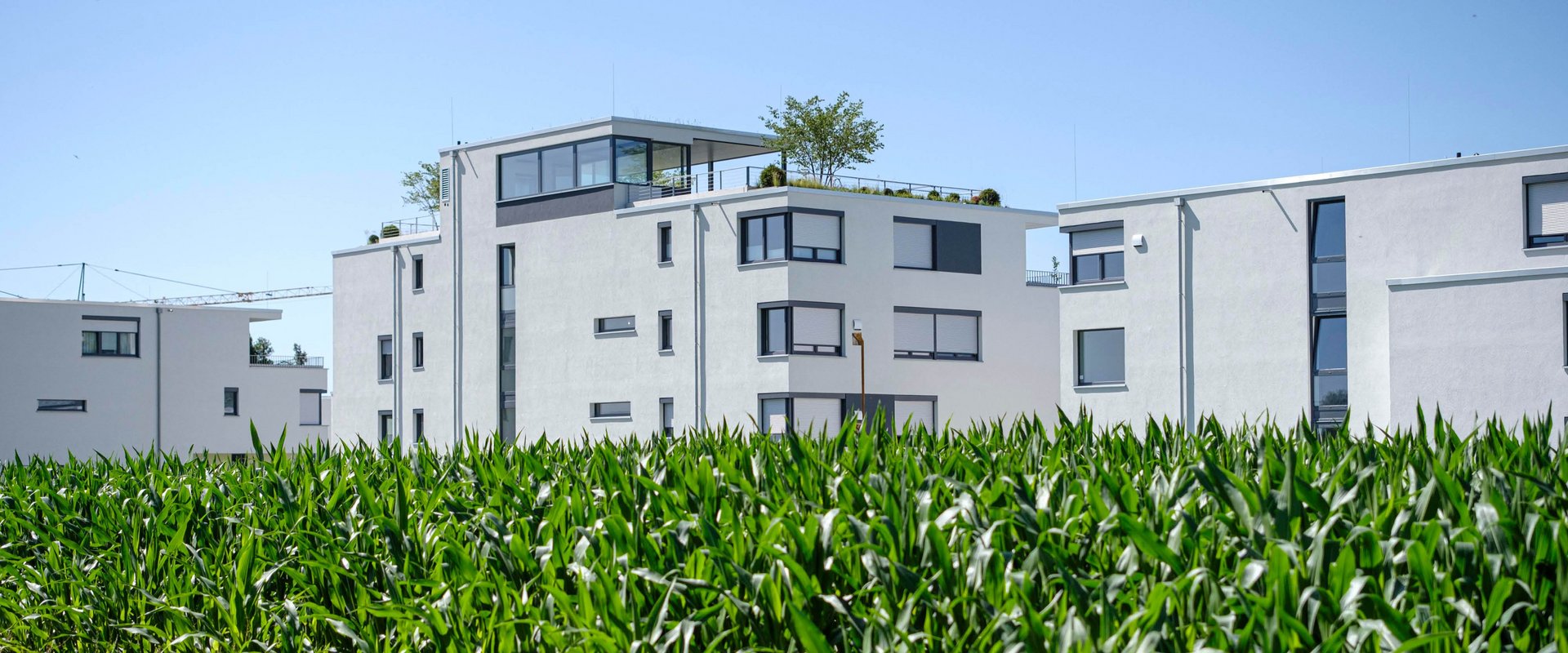 QNG-fit: klimafreundlich bauen mit puren Dämmstoffen
